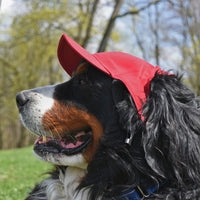 AZ Diamondbacks Pet Baseball Hat