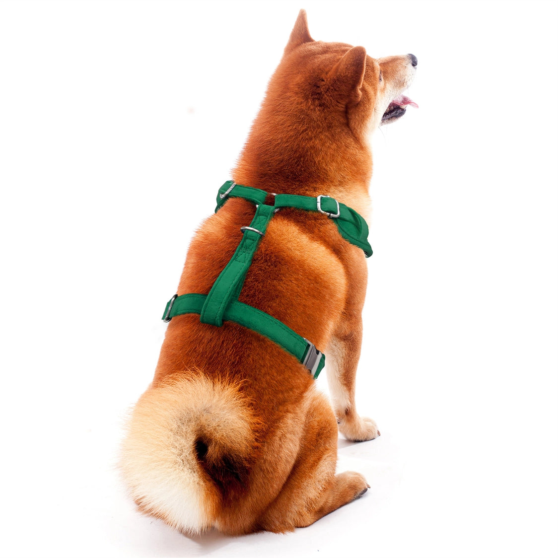 Minnesota Wild Velvet Harness