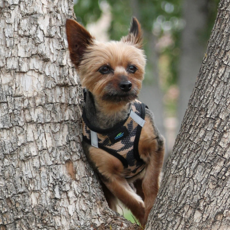 American River Choke Free Dog Harness™ Brown Camo