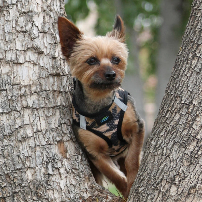 American River Choke Free Dog Harness™ Brown Camo