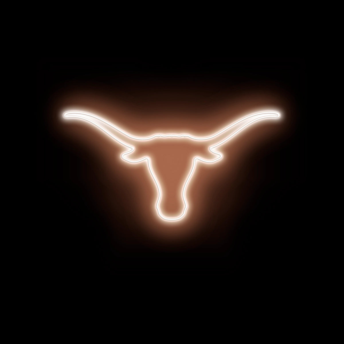 TX Longhorns Neon Tee Shirt