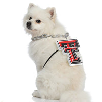 TX Tech Red Raiders Pet Fan Chain