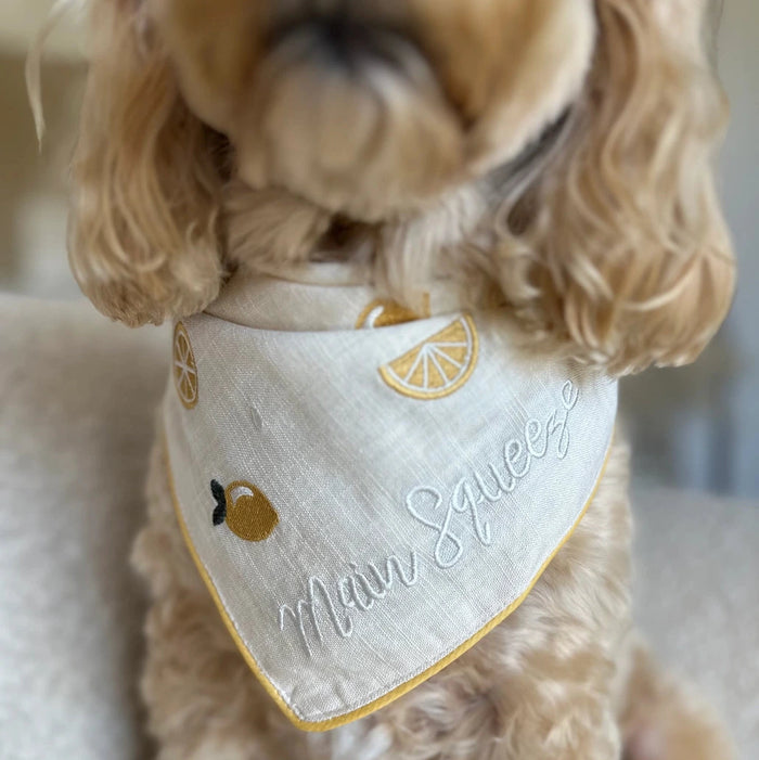 Main Squeeze Pet Bandana