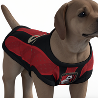 AFC Bournemouth 25/26 Home Kit Inspired Personalized Tank