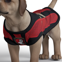 AFC Bournemouth 25/26 Home Kit Inspired Personalized Tank