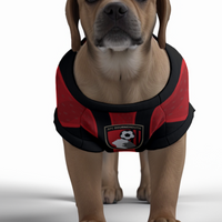 AFC Bournemouth 25/26 Home Kit Inspired Personalized Tank
