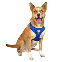 BYU Cougars Velvet Harness