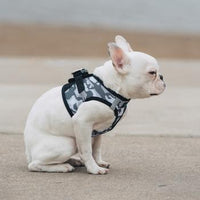 American River Choke Free Dog Harness™ Gray Camo