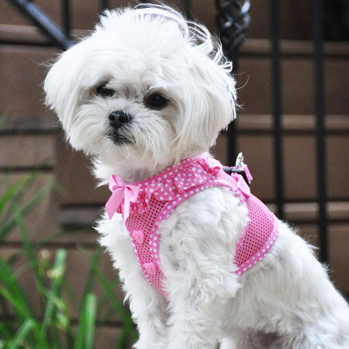 American River Choke Free Dog Harness™ - Candy Pink/White Polka Dots