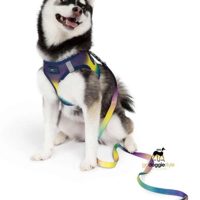 American River Choke Free Dog Harness™ Ombre - Cosmic Splash