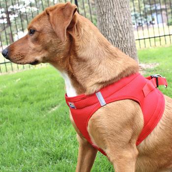 American River Ultra Choke Free Soft Mesh Dog Harness™ - Red
