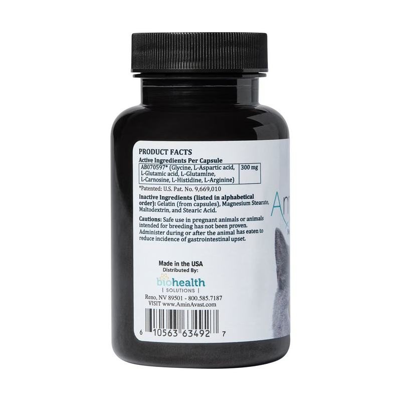 AminAvast Kidney Support for Cats, 60 capsules