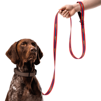 Arsenal FC 24/25 Kit Inspired Pet collar and leash Set