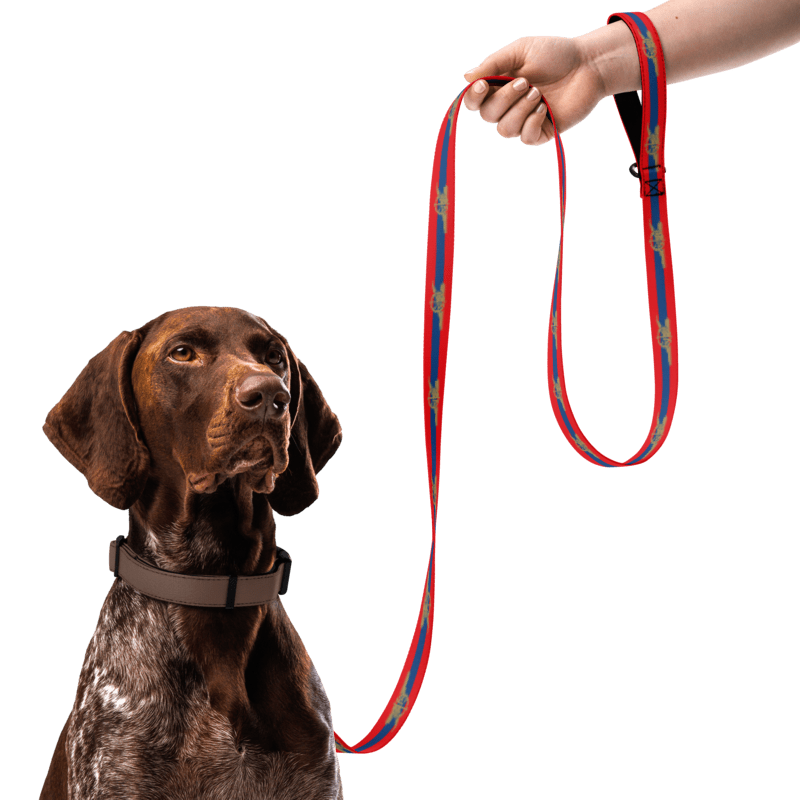 Arsenal FC 24/25 Kit Inspired Pet collar and leash Set