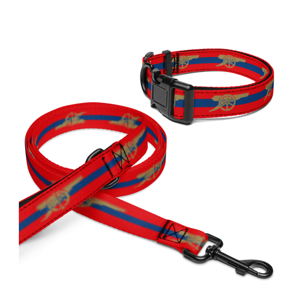 Arsenal FC 24/25 Kit Inspired Pet collar and leash Set