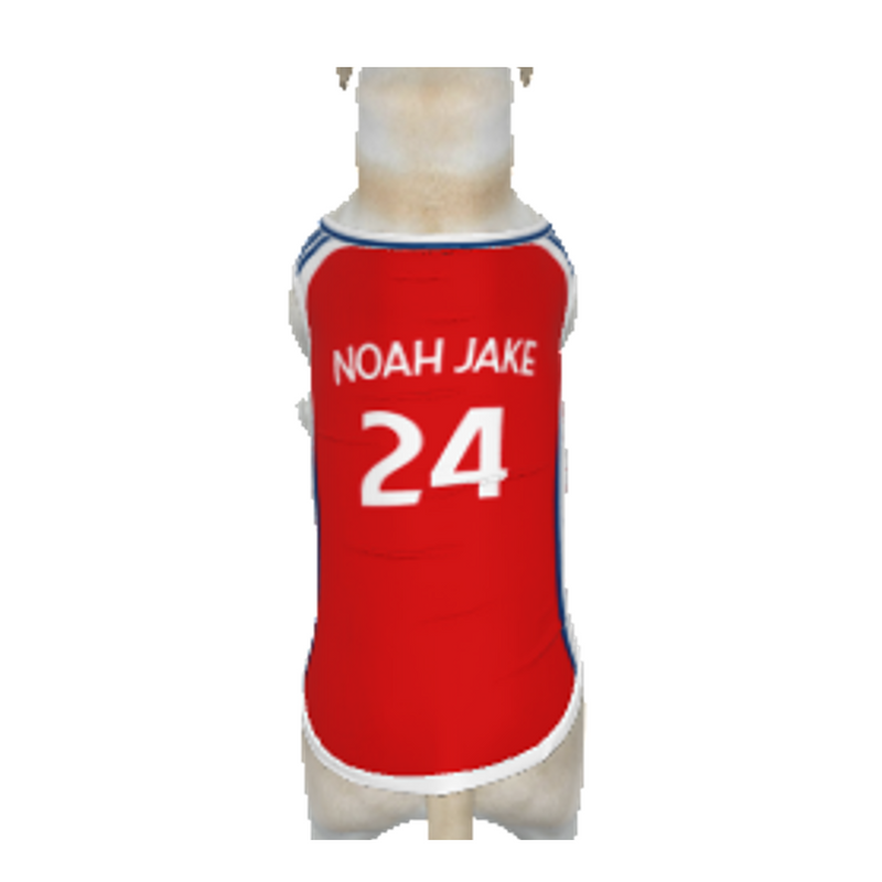 Arsenal FC 24/25 Kit Inspired Personalized Tank