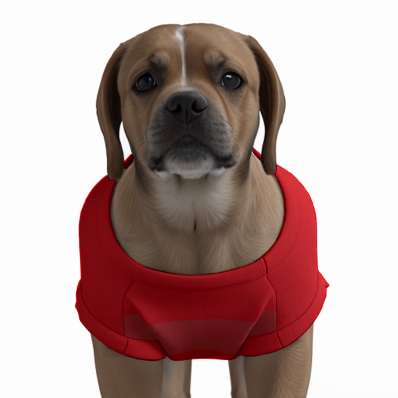 Arsenal FC 25/26 Home Inspired Graphic Pet Tee Shirt (Size M-2x)