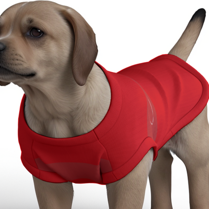 Arsenal FC 25/26 Home Inspired Pet Graphic Tee Shirt (Sizes XS-Small)