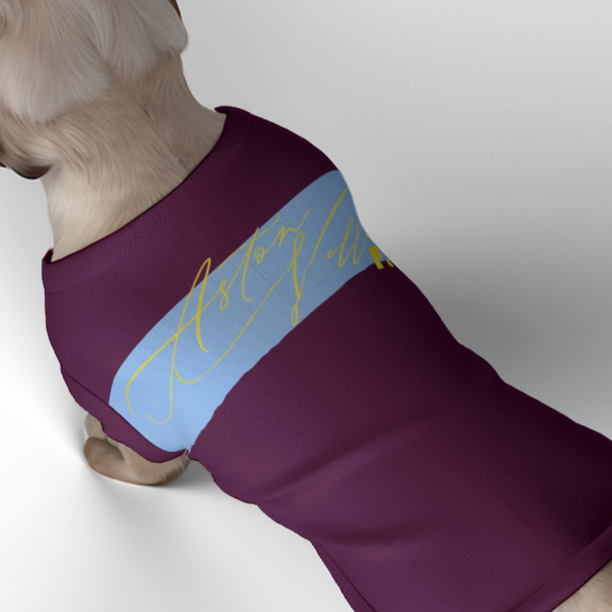 Aston Villa FC 25/26 Home Inspired Graphic Pet Tee Shirt (Size M-2x)