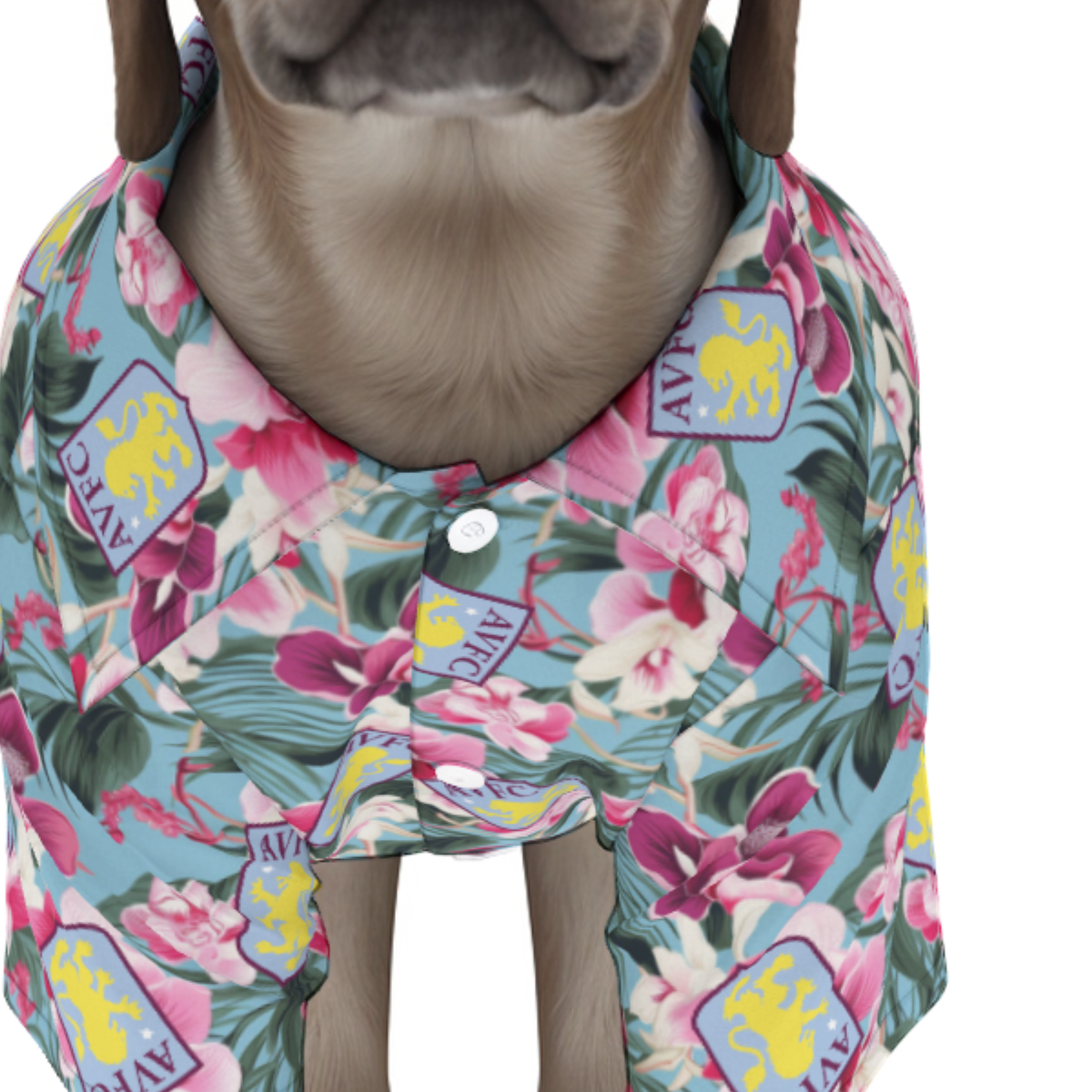 Aston Villa FC 25/26 Team-Inspired Pet Hawaiian Shirt (sizes M-3x)