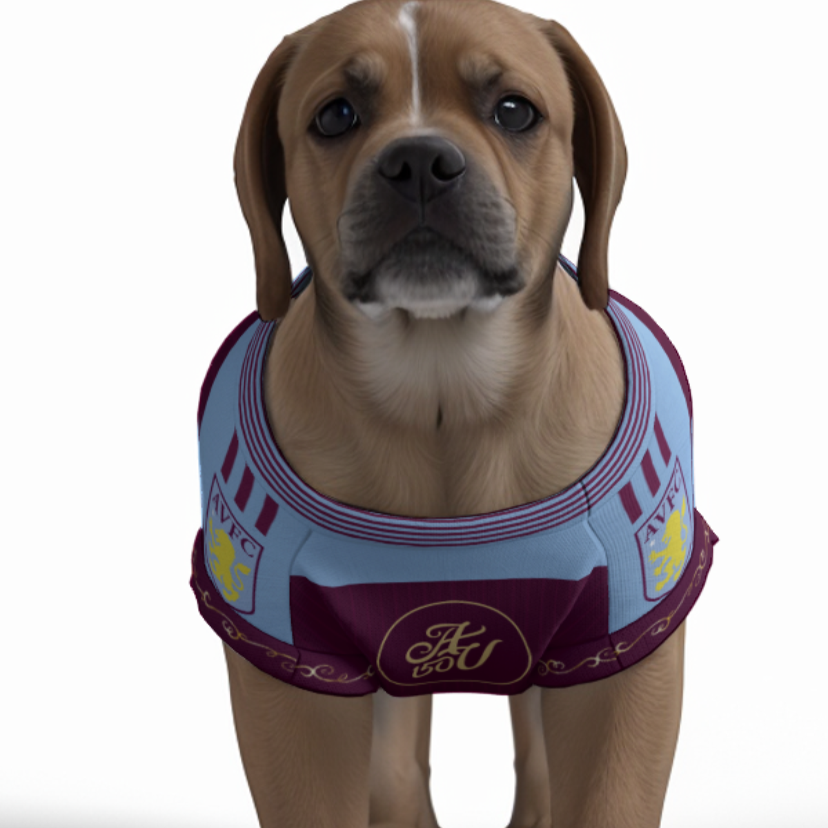 Aston Villa FC 25/26 Home Kit Inspired Personalized Tank