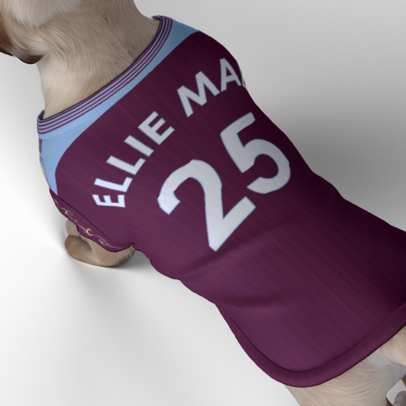 Aston Villa FC 25/26 Home Kit Inspired Personalized Tank