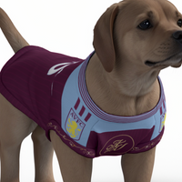 Aston Villa FC 25/26 Home Kit Inspired Personalized Tank