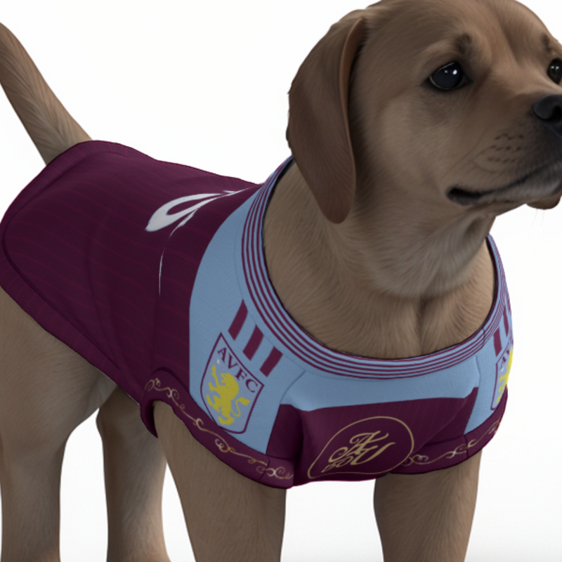Aston Villa FC 25/26 Home Kit Inspired Personalized Tank