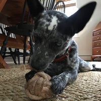 Huggle-Hide® Natural Leather Ball Dog Toy, 2 Pack