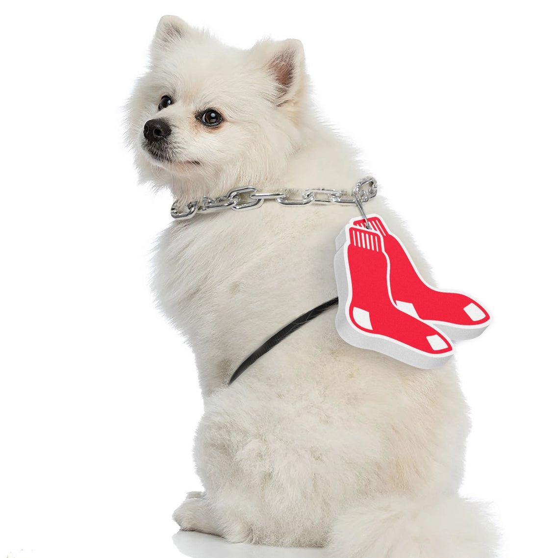 Boston Red Sox Pet Fan Chain