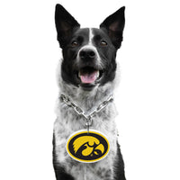 IA Hawkeyes Pet Fan Chain