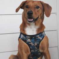 American River Choke Free Dog Harness™ Blue Camo