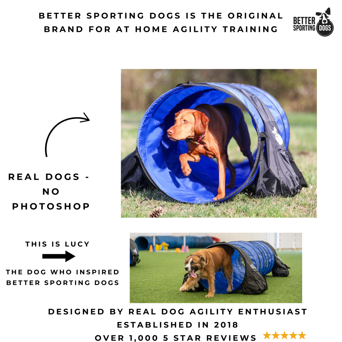 Better Sporting Dogs 10 ft Dog Agility Tunnel with Sandbags