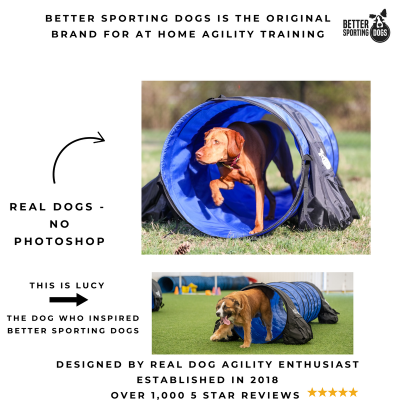 Better Sporting Dogs 10 ft Dog Agility Tunnel with Sandbags