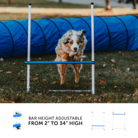 Better Sporting Dogs 3 Piece Dog Agility Equipment Set – with Jumps & Tunnel