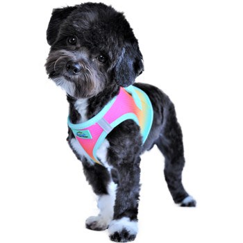 American River Choke Free Dog Harness™ Ombre - Beach Party