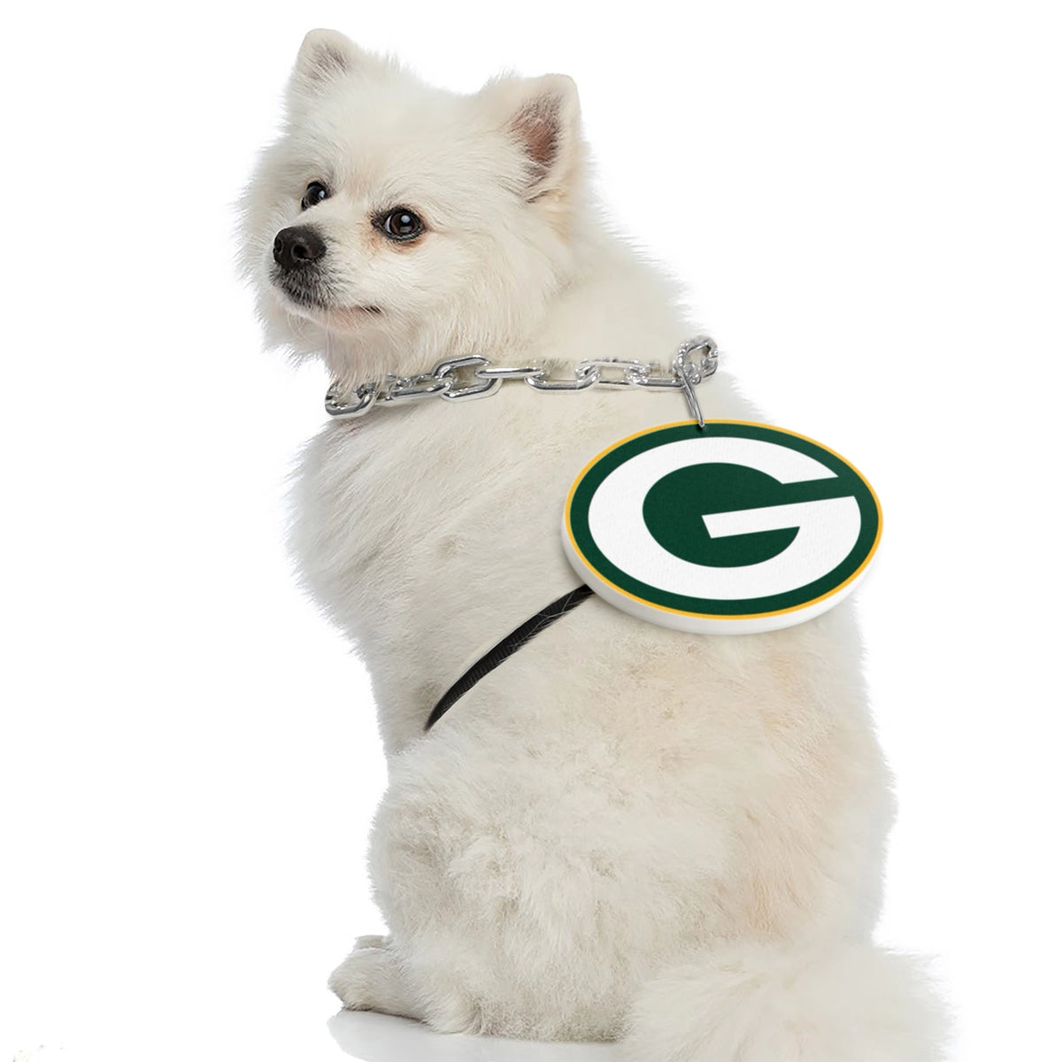 Green Bay Packers Pet Fan Chain