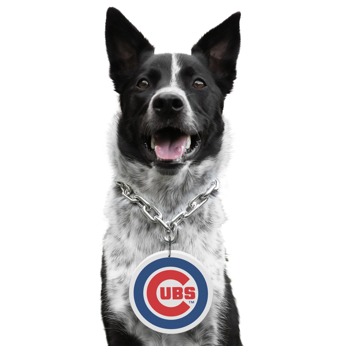 Chicago Cubs Pet Fan Chain