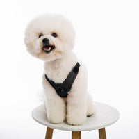 Escape Free Sport Harness