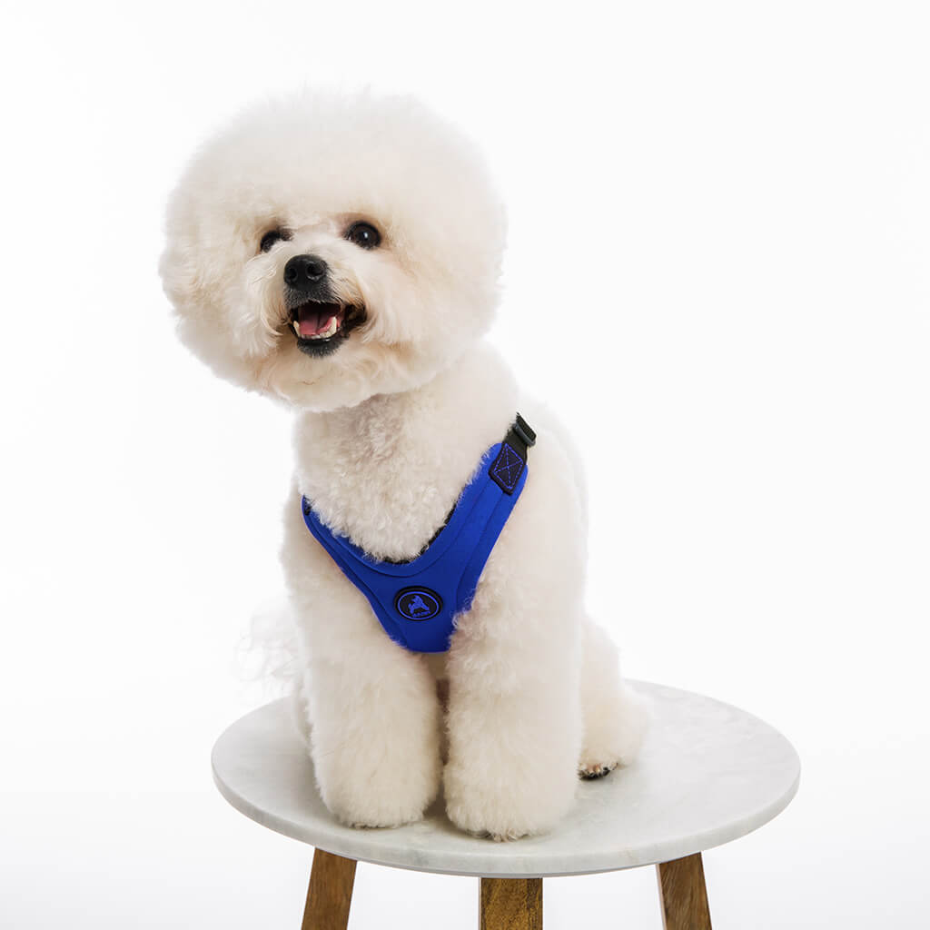 Escape Free Sport Harness