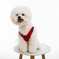 Escape Free Sport Harness