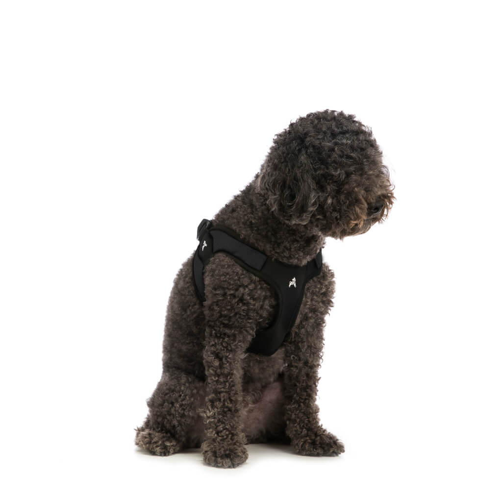 Escape Free Easy Fit Harness