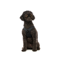 Escape Free Sport Harness