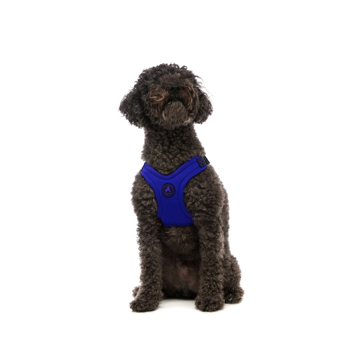 Escape Free Sport Harness