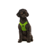 Escape Free Sport Harness