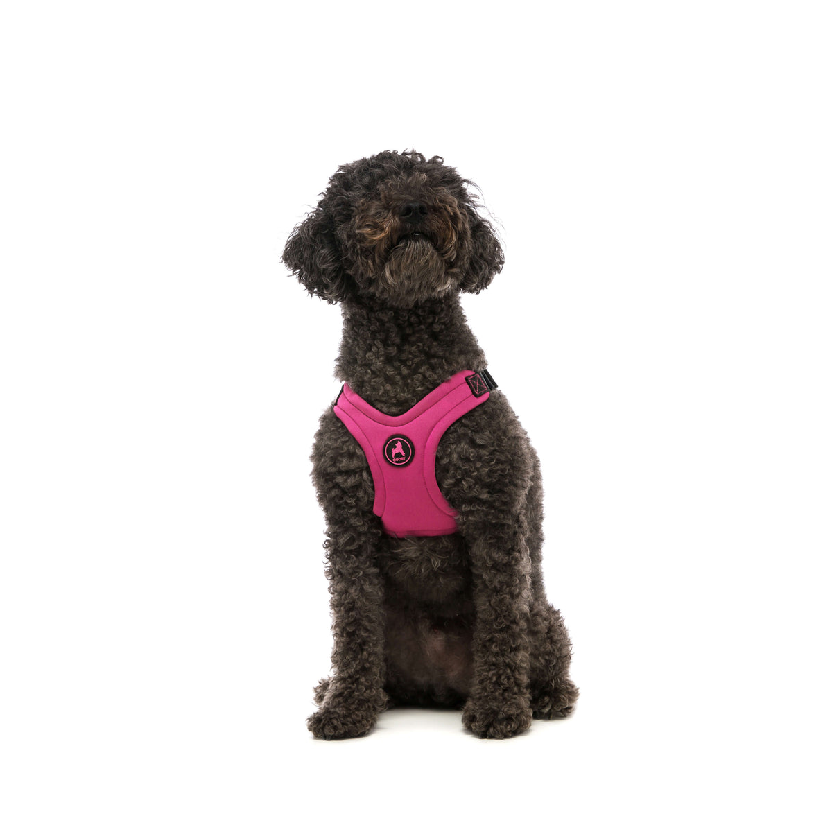 Escape Free Sport Harness