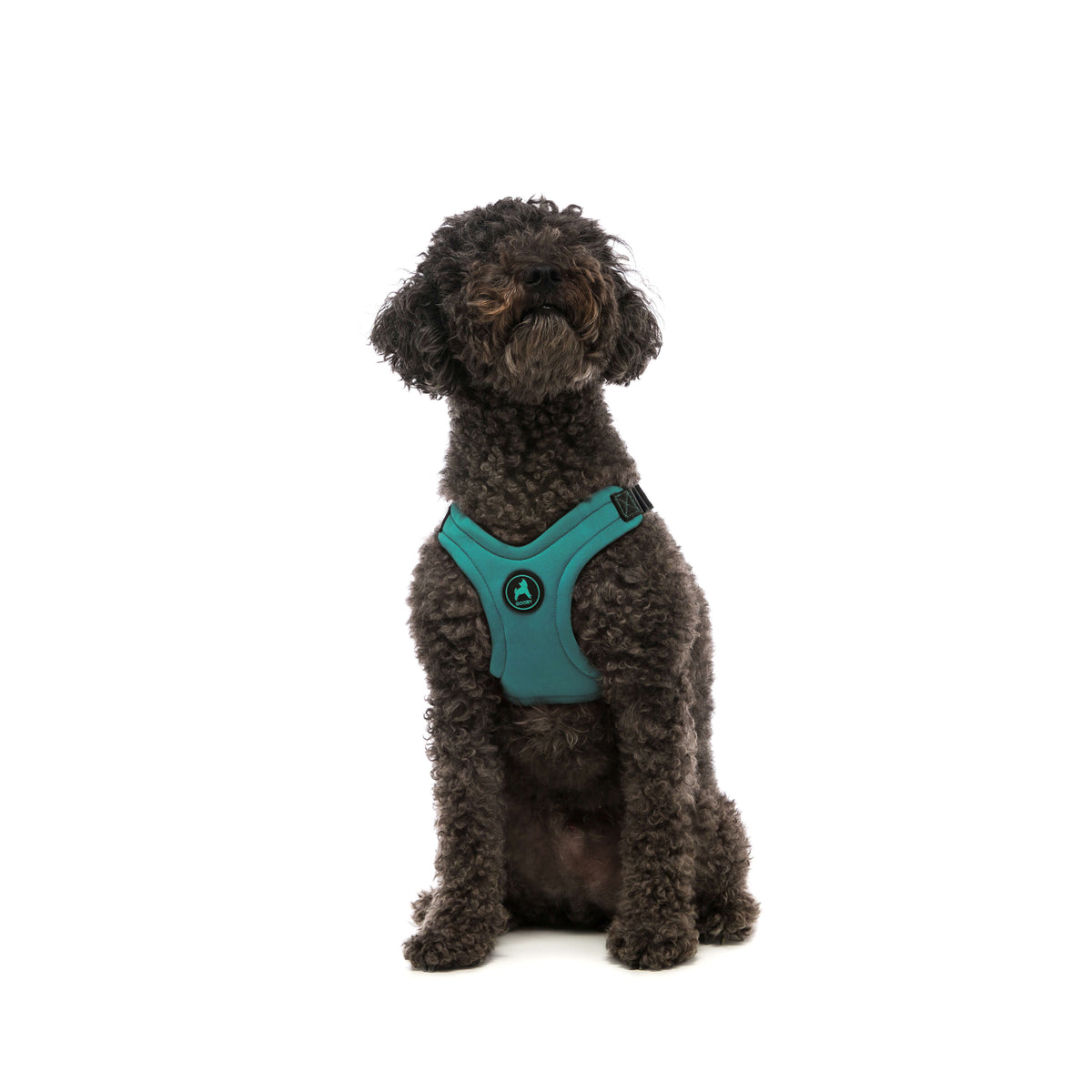 Escape Free Sport Harness