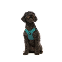 Escape Free Sport Harness