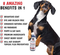 Magic Black Brightening Dog Shampoo - Professional Size