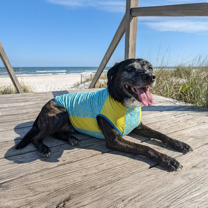 Body Glove Crystal Cool Pet Cooling Shirt